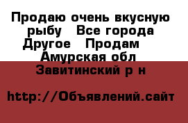 Продаю очень вкусную рыбу - Все города Другое » Продам   . Амурская обл.,Завитинский р-н